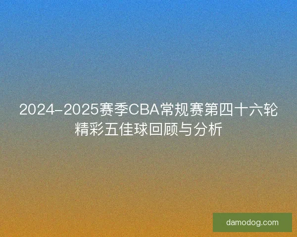 2024-2025赛季CBA常规赛第四十六轮精彩五佳球回顾与分析