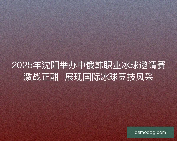 2025年沈阳举办中俄韩职业冰球邀请赛激战正酣  展现国际冰球竞技风采