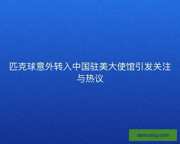 匹克球意外转入中国驻美大使馆引发关注与热议