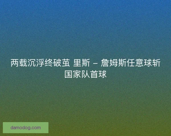 两载沉浮终破茧 里斯 - 詹姆斯任意球斩国家队首球