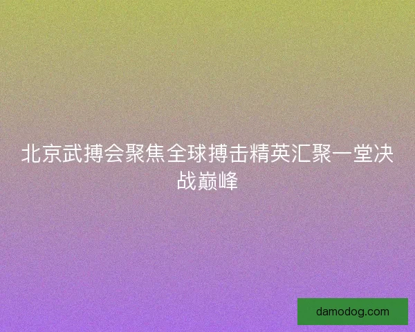 北京武搏会聚焦全球搏击精英汇聚一堂决战巅峰 北京武搏会聚焦全球搏击精英汇聚一堂决战巅峰